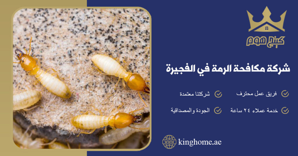 شركة مكافحة الرمة في الفجيرة