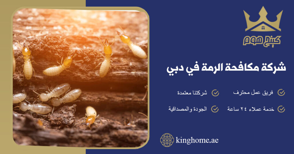 شركة مكافحة الرمة في دبي