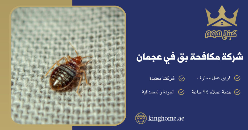 شركة مكافحة بق في عجمان