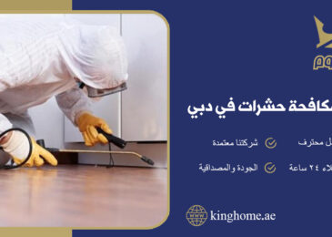 شركة مكافحة حشرات في دبي