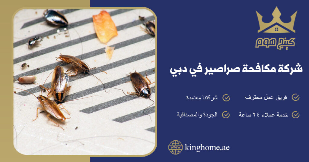 شركة مكافحة صراصير في دبي
