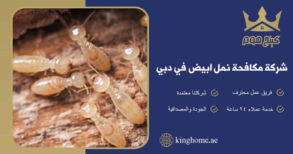 شركة مكافحة نمل ابيض في دبي